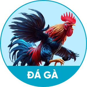Đá gà